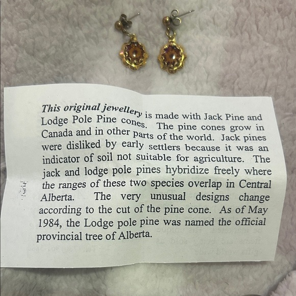 Real Pinecone Earrings - Picture 3 of 6